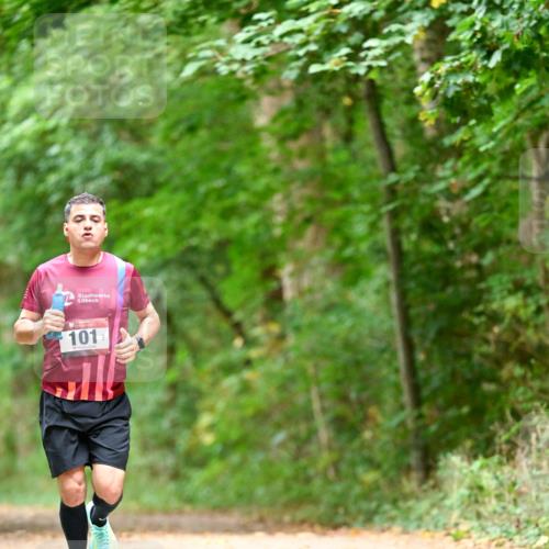 11.10.2026 - Bramfelder Halbmarathon 2026 Dr. Thomas Lammeyer http://msf.ph/oto/10828042 11.10.2026 11:05:12 Laufen 101 meine-sportfotos.de