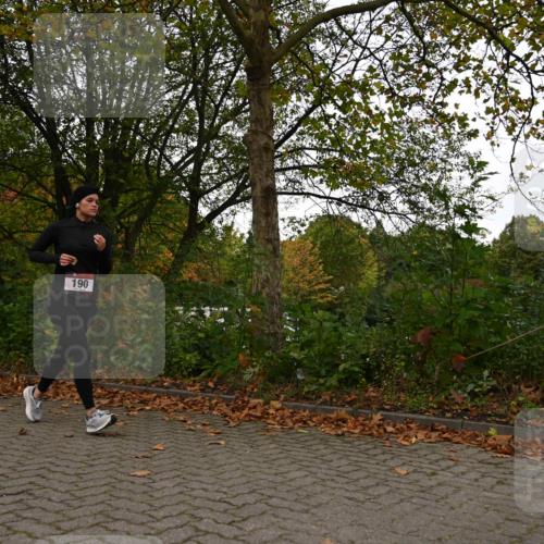 11.10.2026 - Bramfelder Halbmarathon 2026 J. Mangold http://msf.ph/oto/10828049 11.10.2026 10:46:50 Laufen 29, 190, 543, 619 meine-sportfotos.de