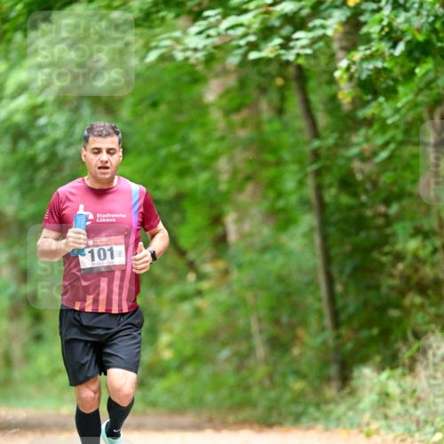 11.10.2026 - Bramfelder Halbmarathon 2026 Dr. Thomas Lammeyer http://msf.ph/oto/10828051 11.10.2026 11:05:13 Laufen 101 meine-sportfotos.de