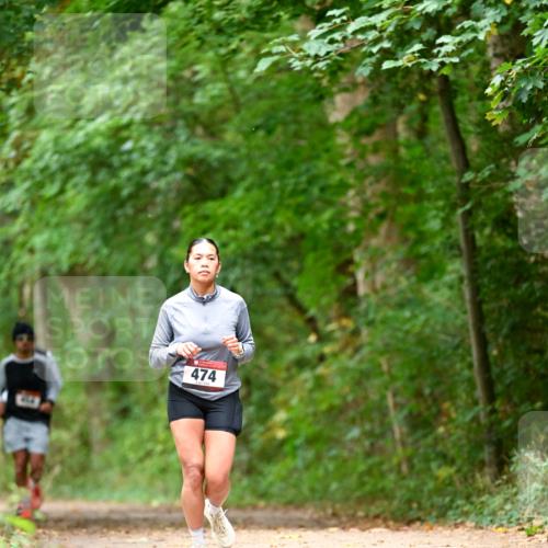 11.10.2026 - Bramfelder Halbmarathon 2026 Dr. Thomas Lammeyer http://msf.ph/oto/10828183 11.10.2026 11:06:07 Laufen 474 meine-sportfotos.de