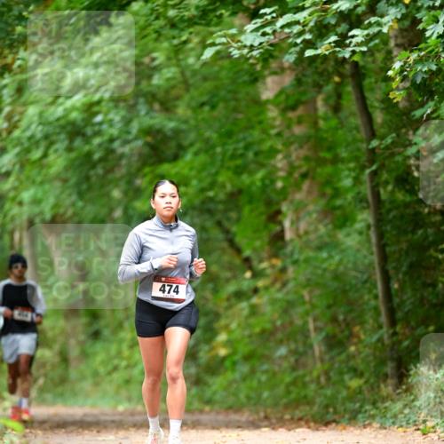 11.10.2026 - Bramfelder Halbmarathon 2026 Dr. Thomas Lammeyer http://msf.ph/oto/10828184 11.10.2026 11:06:07 Laufen 474 meine-sportfotos.de