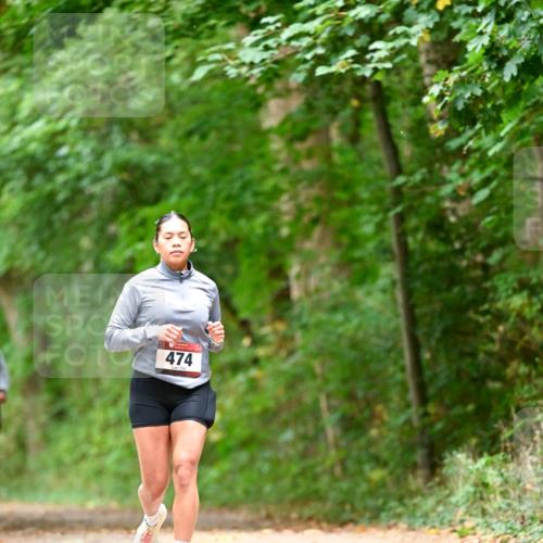 11.10.2026 - Bramfelder Halbmarathon 2026 Dr. Thomas Lammeyer http://msf.ph/oto/10828197 11.10.2026 11:06:08 Laufen 474 meine-sportfotos.de