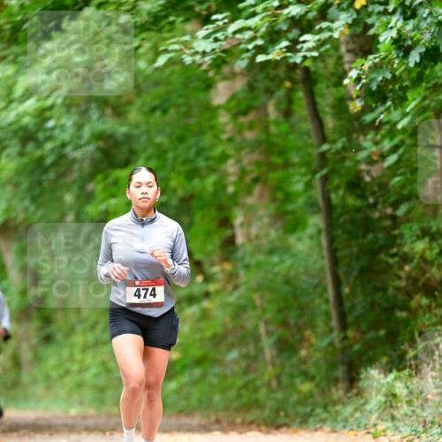 11.10.2026 - Bramfelder Halbmarathon 2026 Dr. Thomas Lammeyer http://msf.ph/oto/10828199 11.10.2026 11:06:08 Laufen 474 meine-sportfotos.de