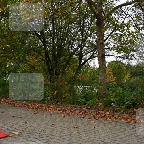 11.10.2026 - Bramfelder Halbmarathon 2026 J. Mangold http://msf.ph/oto/10828204 11.10.2026 10:49:34 Laufen 194, 577, 589, 611 meine-sportfotos.de