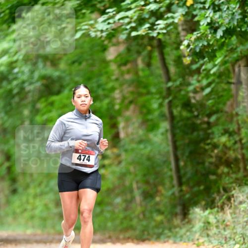 11.10.2026 - Bramfelder Halbmarathon 2026 Dr. Thomas Lammeyer http://msf.ph/oto/10828207 11.10.2026 11:06:09 Laufen 474 meine-sportfotos.de