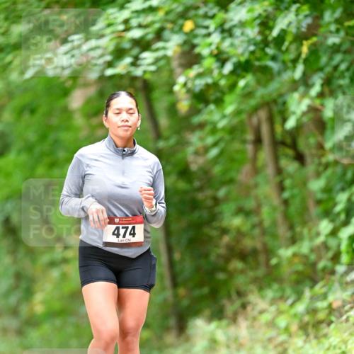 11.10.2026 - Bramfelder Halbmarathon 2026 Dr. Thomas Lammeyer http://msf.ph/oto/10828227 11.10.2026 11:06:10 Laufen 474 meine-sportfotos.de