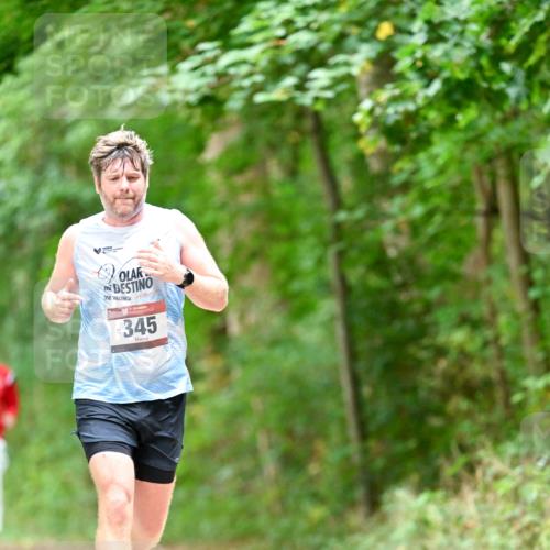 11.10.2026 - Bramfelder Halbmarathon 2026 Dr. Thomas Lammeyer http://msf.ph/oto/10828333 11.10.2026 11:06:34 Laufen 345 meine-sportfotos.de