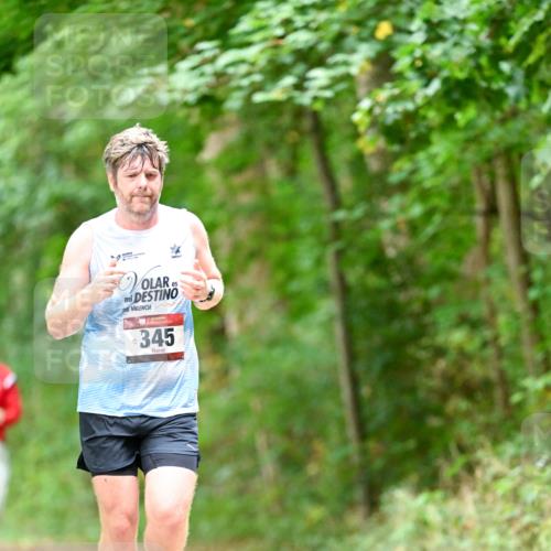 11.10.2026 - Bramfelder Halbmarathon 2026 Dr. Thomas Lammeyer http://msf.ph/oto/10828335 11.10.2026 11:06:34 Laufen 67, 345 meine-sportfotos.de