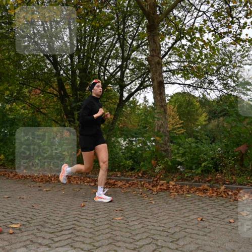 11.10.2026 - Bramfelder Halbmarathon 2026 J. Mangold http://msf.ph/oto/10828338 11.10.2026 10:52:20 Laufen 372, 460, 641 meine-sportfotos.de