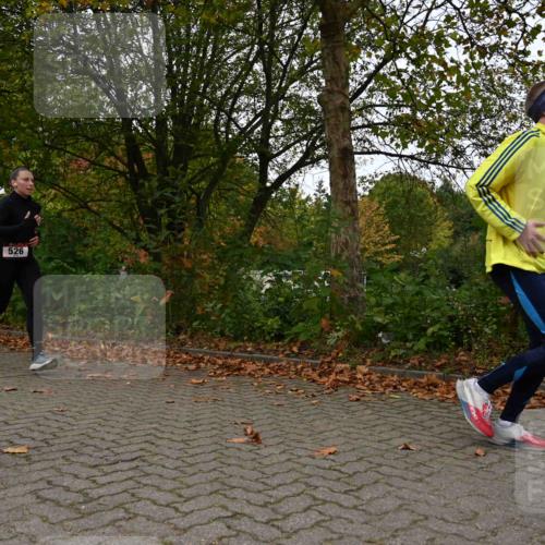 11.10.2026 - Bramfelder Halbmarathon 2026 J. Mangold http://msf.ph/oto/10828508 11.10.2026 10:55:02 Laufen 434, 526 meine-sportfotos.de
