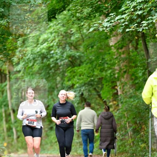 11.10.2026 - Bramfelder Halbmarathon 2026 Dr. Thomas Lammeyer http://msf.ph/oto/10828511 11.10.2026 11:07:26 Laufen 602 meine-sportfotos.de