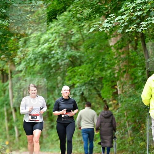 11.10.2026 - Bramfelder Halbmarathon 2026 Dr. Thomas Lammeyer http://msf.ph/oto/10828513 11.10.2026 11:07:26 Laufen 602, 60 meine-sportfotos.de