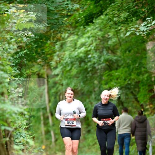 11.10.2026 - Bramfelder Halbmarathon 2026 Dr. Thomas Lammeyer http://msf.ph/oto/10828514 11.10.2026 11:07:26 Laufen 602 meine-sportfotos.de