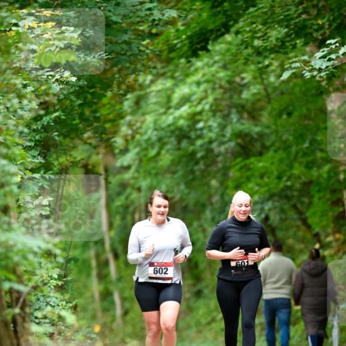 11.10.2026 - Bramfelder Halbmarathon 2026 Dr. Thomas Lammeyer http://msf.ph/oto/10828518 11.10.2026 11:07:26 Laufen 602 meine-sportfotos.de