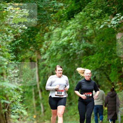 11.10.2026 - Bramfelder Halbmarathon 2026 Dr. Thomas Lammeyer http://msf.ph/oto/10828519 11.10.2026 11:07:27 Laufen 602, 601 meine-sportfotos.de