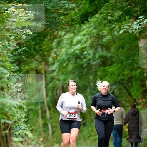 11.10.2026 - Bramfelder Halbmarathon 2026 Dr. Thomas Lammeyer http://msf.ph/oto/10828521 11.10.2026 11:07:27 Laufen 602 meine-sportfotos.de