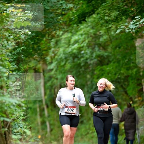 11.10.2026 - Bramfelder Halbmarathon 2026 Dr. Thomas Lammeyer http://msf.ph/oto/10828524 11.10.2026 11:07:27 Laufen 602 meine-sportfotos.de