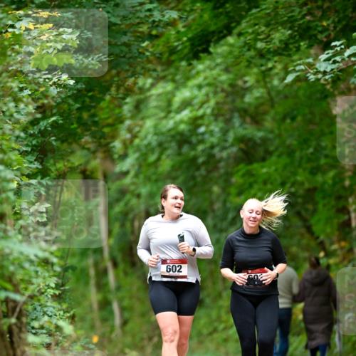 11.10.2026 - Bramfelder Halbmarathon 2026 Dr. Thomas Lammeyer http://msf.ph/oto/10828525 11.10.2026 11:07:27 Laufen 602 meine-sportfotos.de