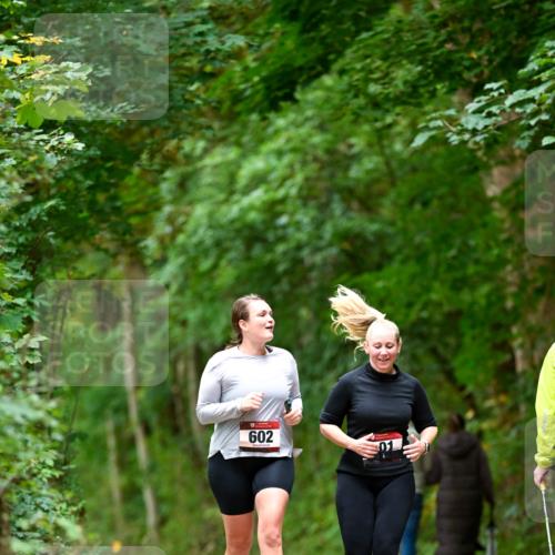 11.10.2026 - Bramfelder Halbmarathon 2026 Dr. Thomas Lammeyer http://msf.ph/oto/10828529 11.10.2026 11:07:27 Laufen 602 meine-sportfotos.de