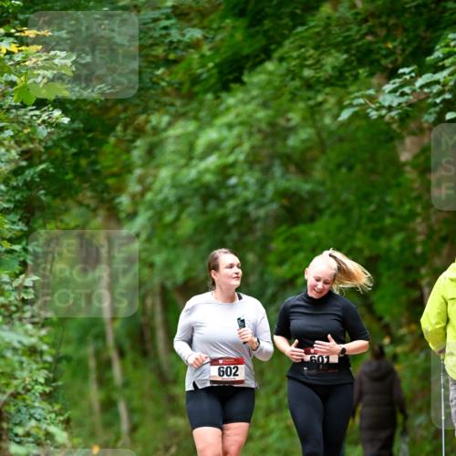 11.10.2026 - Bramfelder Halbmarathon 2026 Dr. Thomas Lammeyer http://msf.ph/oto/10828533 11.10.2026 11:07:28 Laufen 602, 601 meine-sportfotos.de