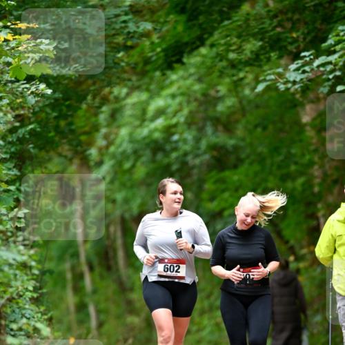 11.10.2026 - Bramfelder Halbmarathon 2026 Dr. Thomas Lammeyer http://msf.ph/oto/10828535 11.10.2026 11:07:28 Laufen 602 meine-sportfotos.de
