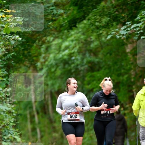 11.10.2026 - Bramfelder Halbmarathon 2026 Dr. Thomas Lammeyer http://msf.ph/oto/10828536 11.10.2026 11:07:28 Laufen 602 meine-sportfotos.de