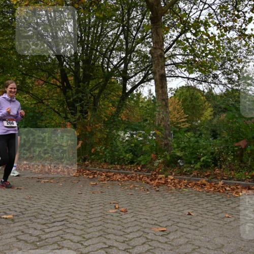 11.10.2026 - Bramfelder Halbmarathon 2026 J. Mangold http://msf.ph/oto/10828537 11.10.2026 10:55:37 Laufen 266, 309 meine-sportfotos.de