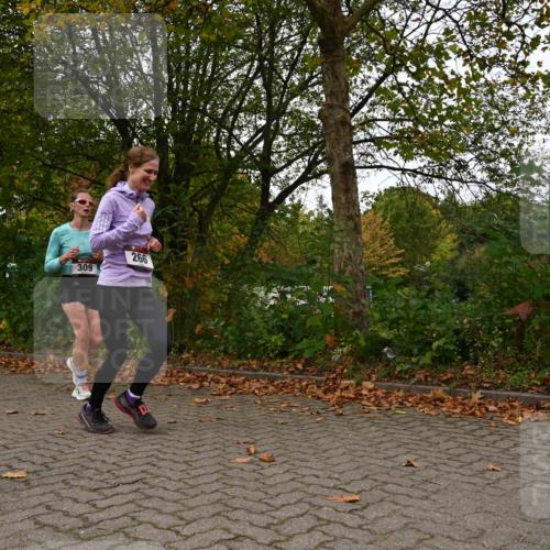 11.10.2026 - Bramfelder Halbmarathon 2026 J. Mangold http://msf.ph/oto/10828541 11.10.2026 10:55:37 Laufen 266, 309 meine-sportfotos.de