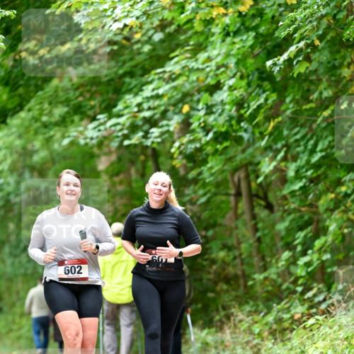 11.10.2026 - Bramfelder Halbmarathon 2026 Dr. Thomas Lammeyer http://msf.ph/oto/10828548 11.10.2026 11:07:30 Laufen 602 meine-sportfotos.de