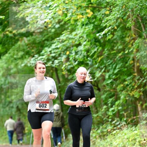 11.10.2026 - Bramfelder Halbmarathon 2026 Dr. Thomas Lammeyer http://msf.ph/oto/10828560 11.10.2026 11:07:31 Laufen 602, 501 meine-sportfotos.de