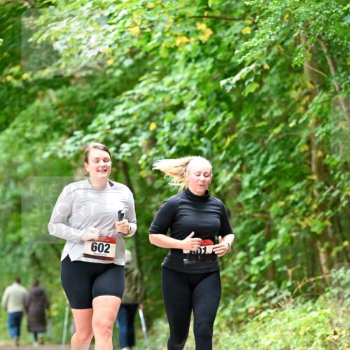 11.10.2026 - Bramfelder Halbmarathon 2026 Dr. Thomas Lammeyer http://msf.ph/oto/10828562 11.10.2026 11:07:31 Laufen 602 meine-sportfotos.de