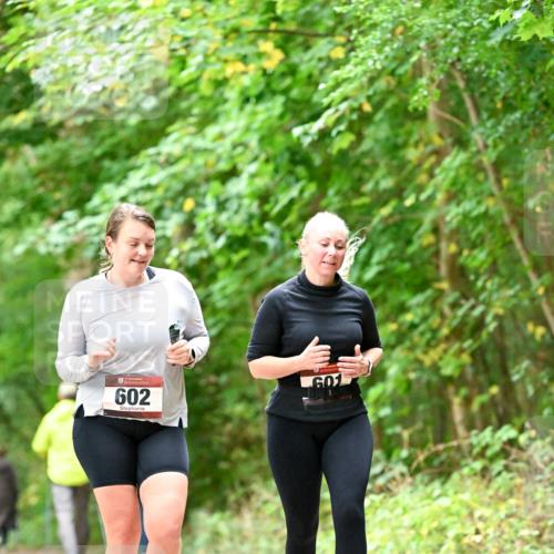 11.10.2026 - Bramfelder Halbmarathon 2026 Dr. Thomas Lammeyer http://msf.ph/oto/10828570 11.10.2026 11:07:32 Laufen 602, 601 meine-sportfotos.de