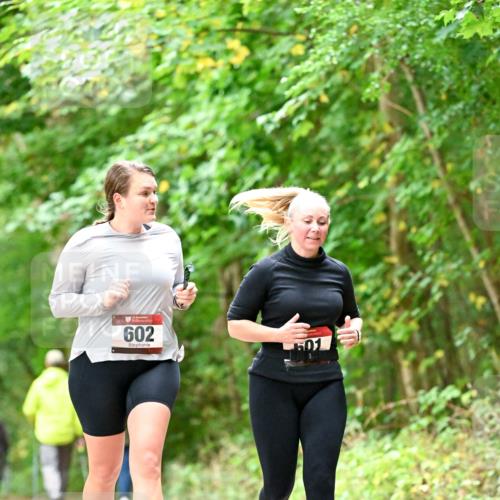11.10.2026 - Bramfelder Halbmarathon 2026 Dr. Thomas Lammeyer http://msf.ph/oto/10828571 11.10.2026 11:07:32 Laufen 602, 501 meine-sportfotos.de