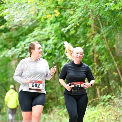 11.10.2026 - Bramfelder Halbmarathon 2026 Dr. Thomas Lammeyer http://msf.ph/oto/10828573 11.10.2026 11:07:32 Laufen 602, 601 meine-sportfotos.de