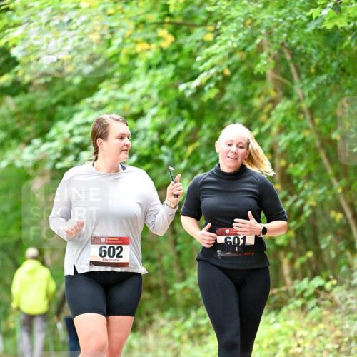 11.10.2026 - Bramfelder Halbmarathon 2026 Dr. Thomas Lammeyer http://msf.ph/oto/10828575 11.10.2026 11:07:32 Laufen 35, 602, 601 meine-sportfotos.de