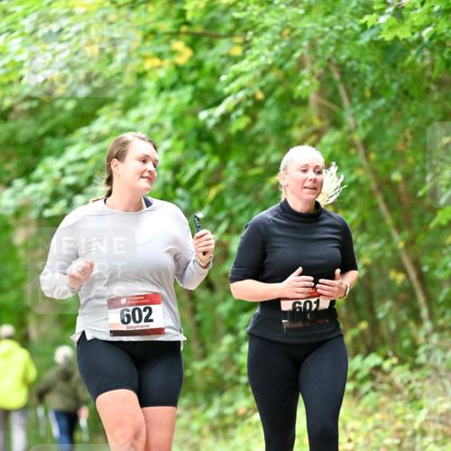11.10.2026 - Bramfelder Halbmarathon 2026 Dr. Thomas Lammeyer http://msf.ph/oto/10828579 11.10.2026 11:07:32 Laufen 602, 601 meine-sportfotos.de