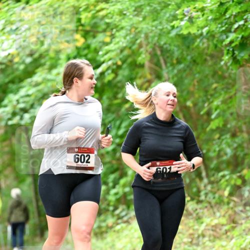 11.10.2026 - Bramfelder Halbmarathon 2026 Dr. Thomas Lammeyer http://msf.ph/oto/10828582 11.10.2026 11:07:33 Laufen 35, 602, 601 meine-sportfotos.de