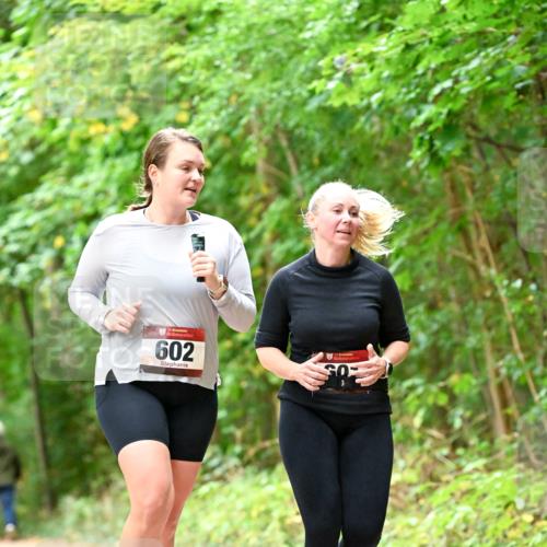 11.10.2026 - Bramfelder Halbmarathon 2026 Dr. Thomas Lammeyer http://msf.ph/oto/10828586 11.10.2026 11:07:33 Laufen 35, 602 meine-sportfotos.de