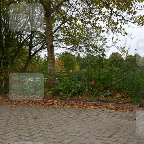 11.10.2026 - Bramfelder Halbmarathon 2026 J. Mangold http://msf.ph/oto/10828666 11.10.2026 10:57:04 Laufen 75, 270, 323, 360, 553, 769 meine-sportfotos.de
