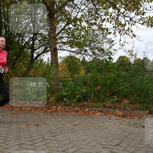 11.10.2026 - Bramfelder Halbmarathon 2026 J. Mangold http://msf.ph/oto/10828668 11.10.2026 10:57:04 Laufen 75, 270, 323, 360, 553, 769 meine-sportfotos.de
