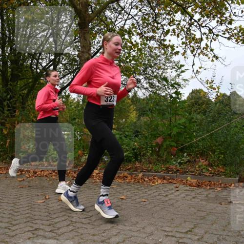 11.10.2026 - Bramfelder Halbmarathon 2026 J. Mangold http://msf.ph/oto/10828672 11.10.2026 10:57:04 Laufen 75, 270, 323, 360, 553, 769 meine-sportfotos.de