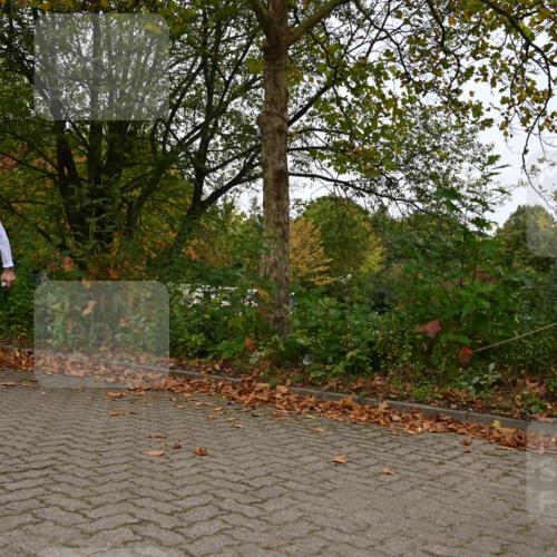 11.10.2026 - Bramfelder Halbmarathon 2026 J. Mangold http://msf.ph/oto/10828681 11.10.2026 10:57:27 Laufen 351, 595 meine-sportfotos.de