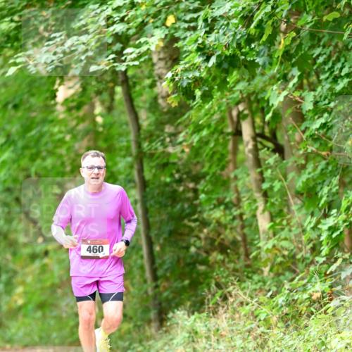 11.10.2026 - Bramfelder Halbmarathon 2026 Dr. Thomas Lammeyer http://msf.ph/oto/10828706 11.10.2026 11:07:59 Laufen 460 meine-sportfotos.de