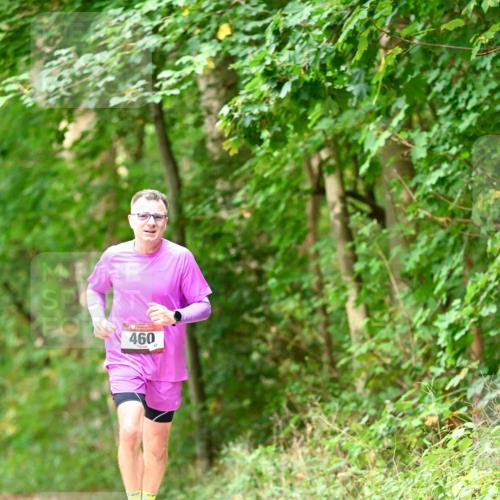 11.10.2026 - Bramfelder Halbmarathon 2026 Dr. Thomas Lammeyer http://msf.ph/oto/10828712 11.10.2026 11:07:59 Laufen 460 meine-sportfotos.de