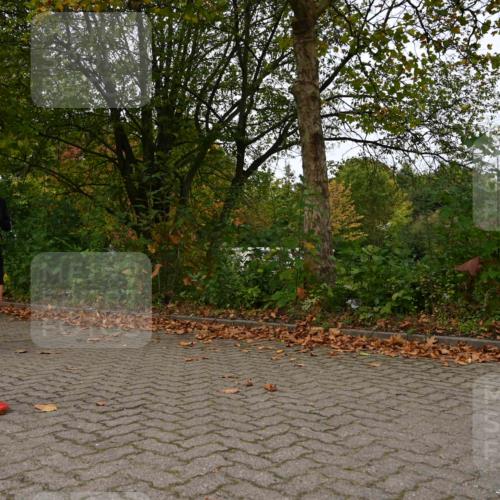11.10.2026 - Bramfelder Halbmarathon 2026 J. Mangold http://msf.ph/oto/10828734 11.10.2026 10:58:14 Laufen 191, 455, 614 meine-sportfotos.de
