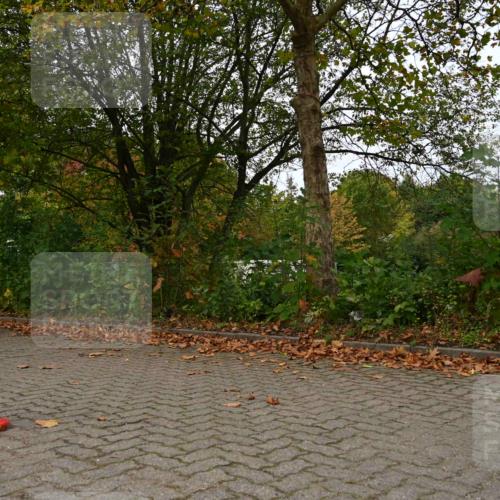 11.10.2026 - Bramfelder Halbmarathon 2026 J. Mangold http://msf.ph/oto/10828752 11.10.2026 10:58:17 Laufen 110, 191, 455, 614, 801 meine-sportfotos.de