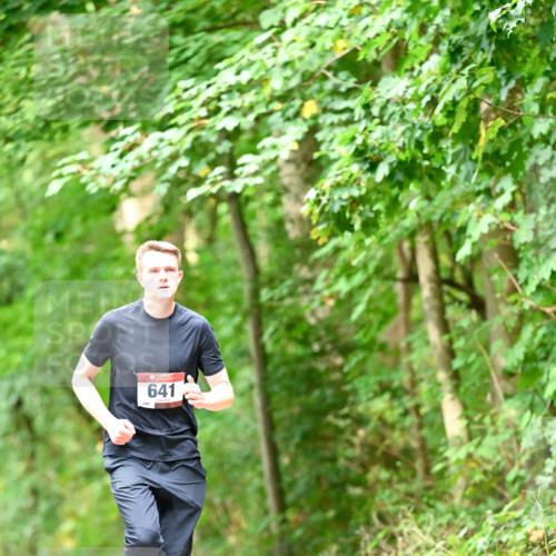 11.10.2026 - Bramfelder Halbmarathon 2026 Dr. Thomas Lammeyer http://msf.ph/oto/10828756 11.10.2026 11:08:05 Laufen 641 meine-sportfotos.de