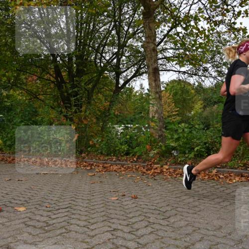 11.10.2026 - Bramfelder Halbmarathon 2026 J. Mangold http://msf.ph/oto/10828778 11.10.2026 10:58:40 Laufen 121, 259 meine-sportfotos.de