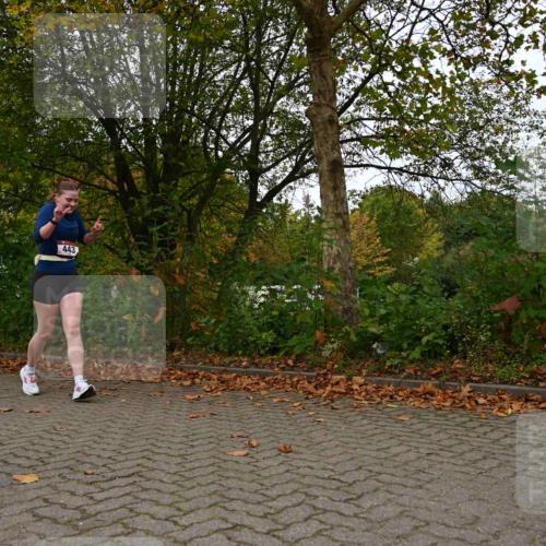 11.10.2026 - Bramfelder Halbmarathon 2026 J. Mangold http://msf.ph/oto/10828818 11.10.2026 10:59:05 Laufen 99, 174, 443 meine-sportfotos.de