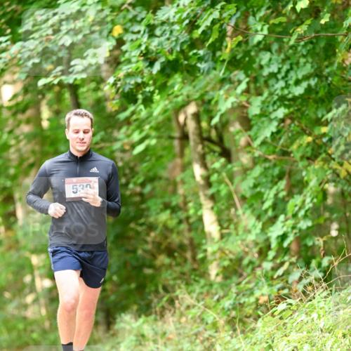 11.10.2026 - Bramfelder Halbmarathon 2026 Dr. Thomas Lammeyer http://msf.ph/oto/10828868 11.10.2026 11:08:28 Laufen 530 meine-sportfotos.de